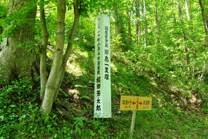 okunakayama_29.jpg