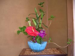 CIMG0764.JPG